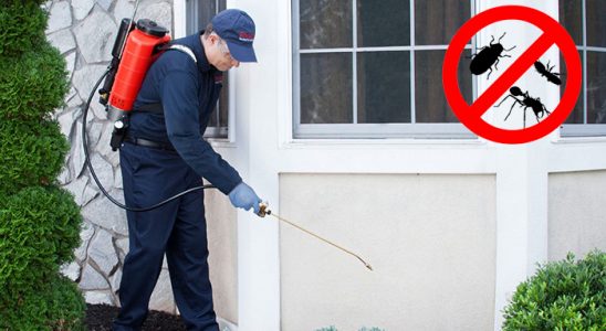 Karkamış Dezenfeksiyon böcek ilaçlama ve haşere kontrolü — ilaclama-tr.com